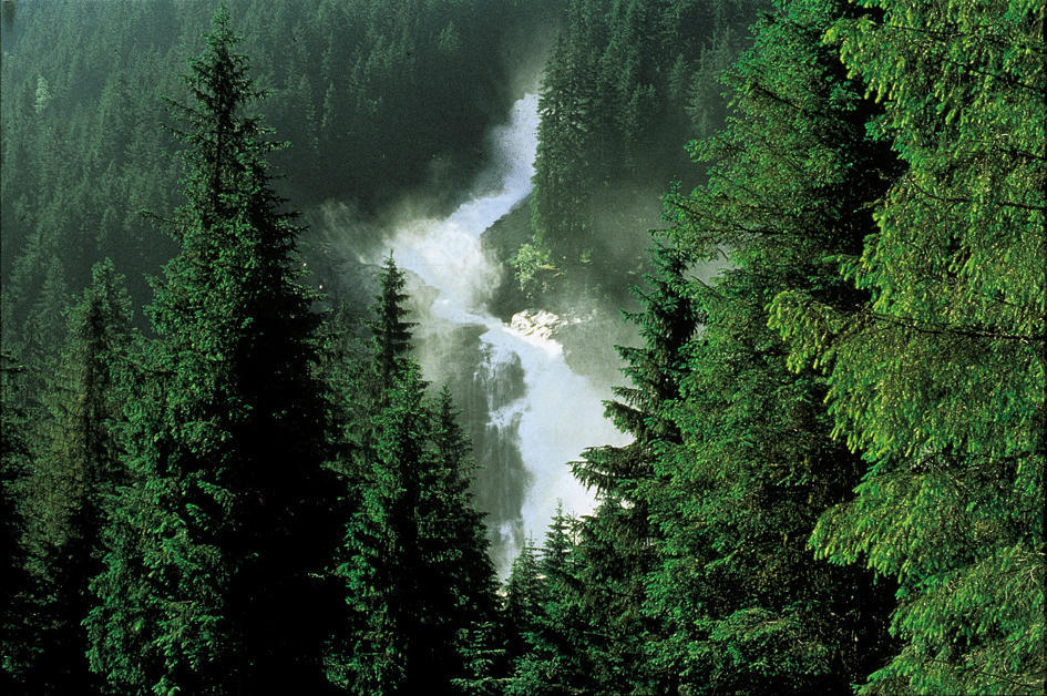 Hotel Oberwirt - Nahe An Saalbach Und Zell Am See Viehhofen Buitenkant foto